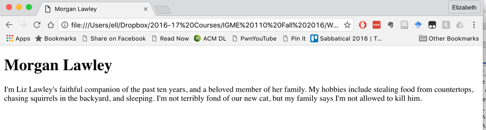 Screenshot of index.html page